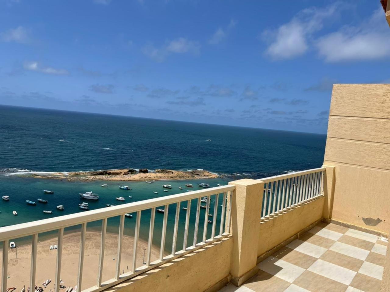Family View Alexandria